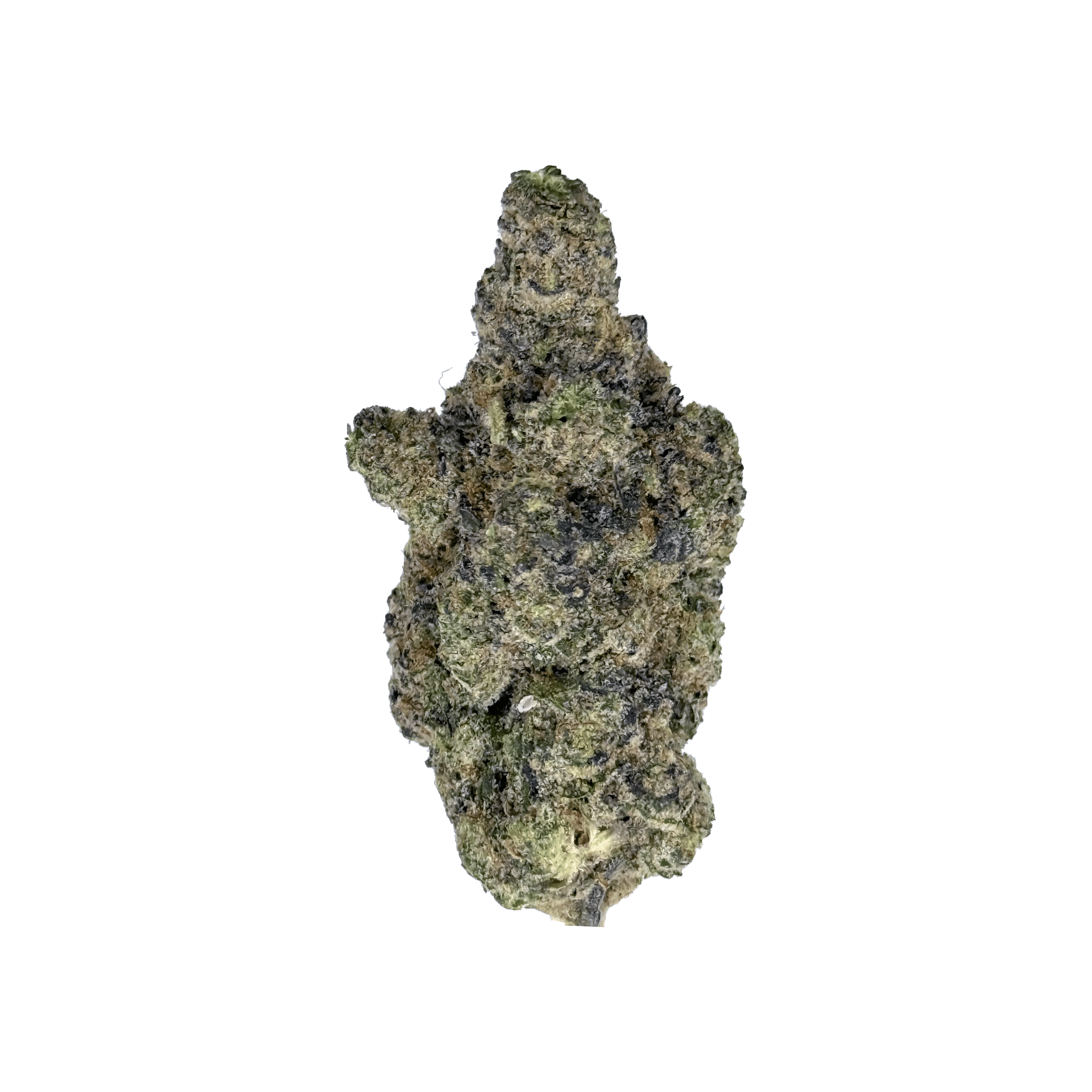 Black Velvet THCa Flower